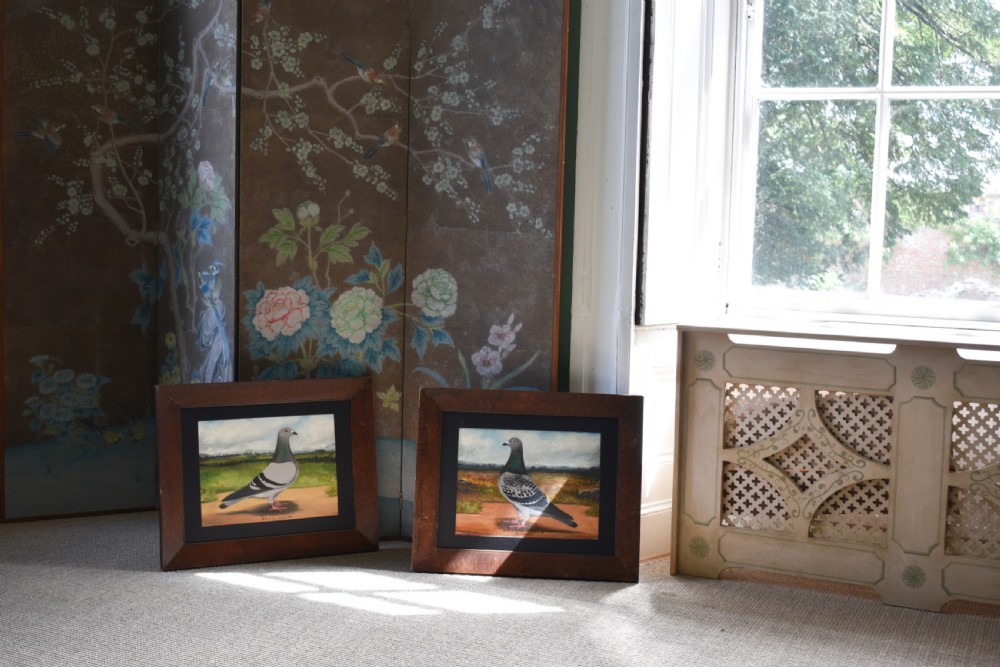 A pair of framed oil paintings on board depicting individual racing pigeons in profile set against rural landscape backgrounds. View X