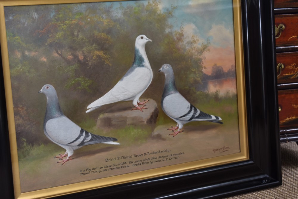 An early 20th-century oil painting on board depicting three pigeons in a landscape setting, housed in a black frame with a gold inner slip.