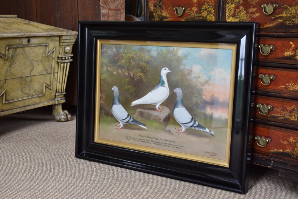 An early 20th-century oil painting on board depicting three pigeons in a landscape setting, housed in a black frame with a gold inner slip. View III