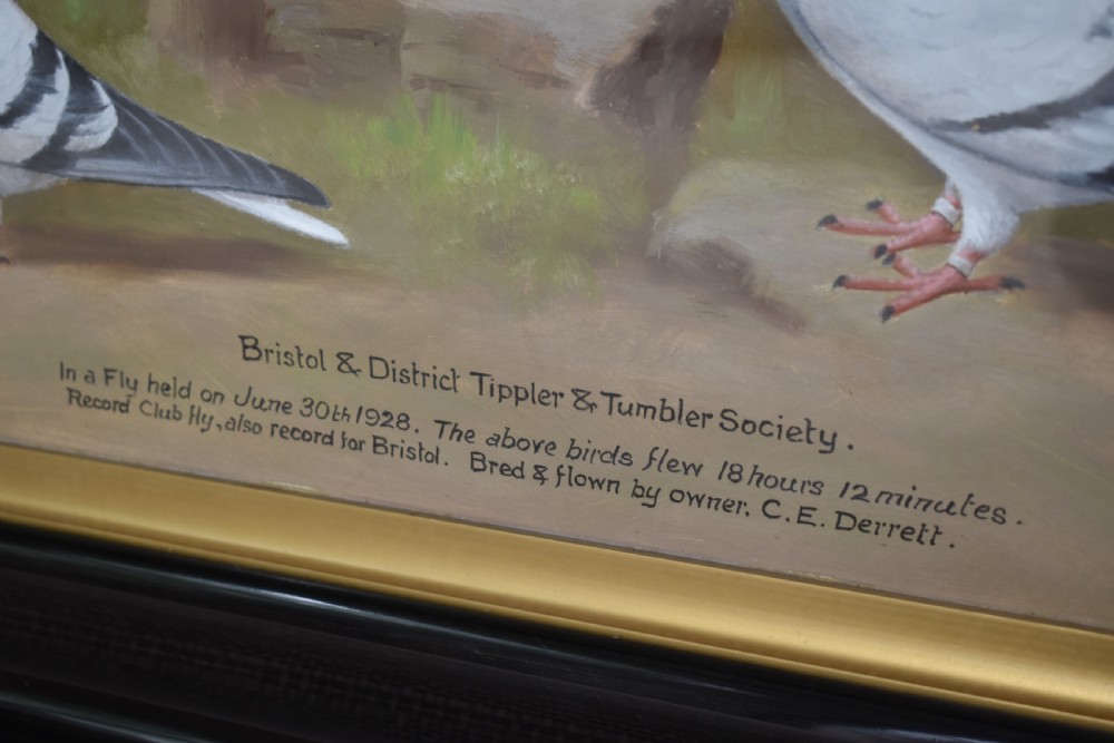 An early 20th-century oil painting on board depicting three pigeons in a landscape setting, housed in a black frame with a gold inner slip. View IV