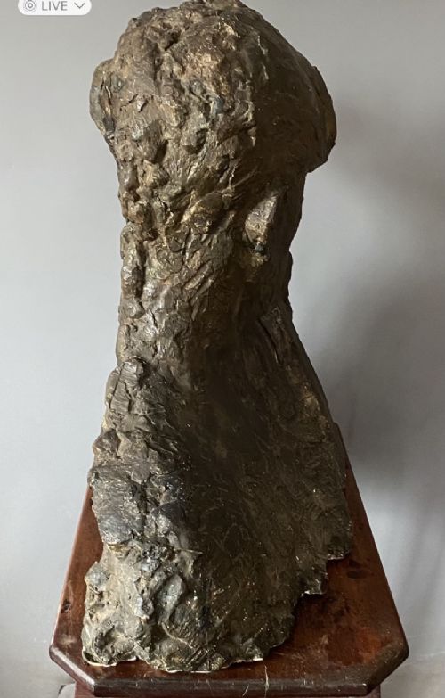 PLASTER BUST OF CELLIST RODOLPHE SOIRON - ADDITIONAL PHOTO 4
