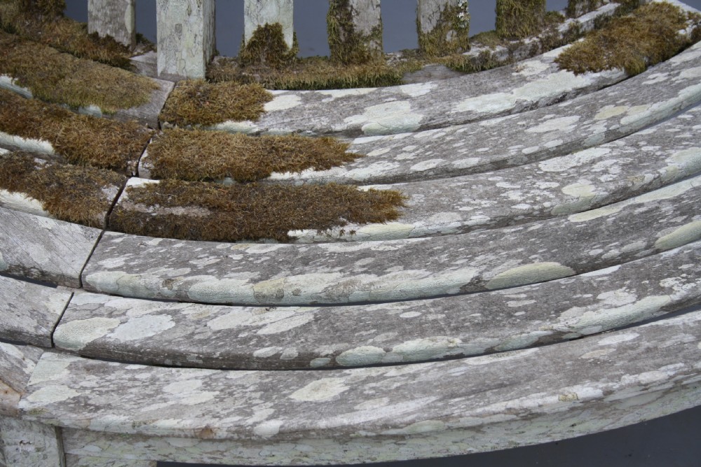 A curved wooden slatted garden bench with weathered grey finish and natural moss growth, designed to encircle a tree trunk. View IV