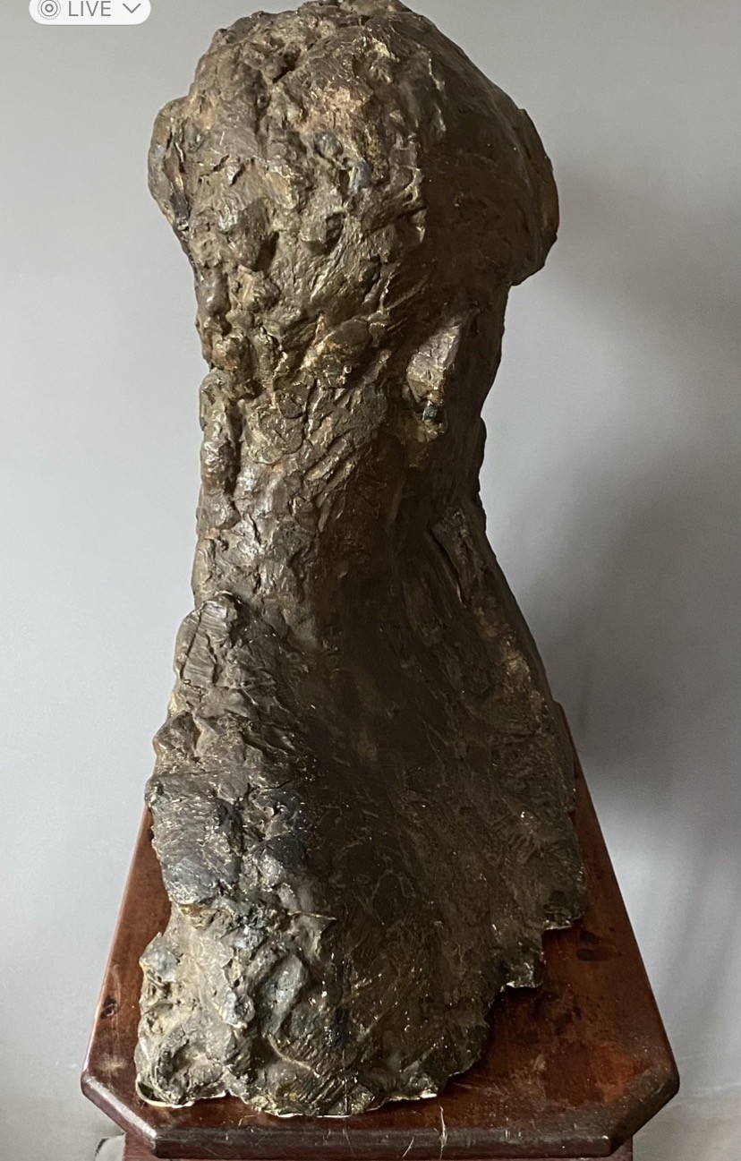 A patinated dark brown plaster bust depicting a male cellist holding a cello scroll, sculpted with a heavy, impasto-like textured finish. View V