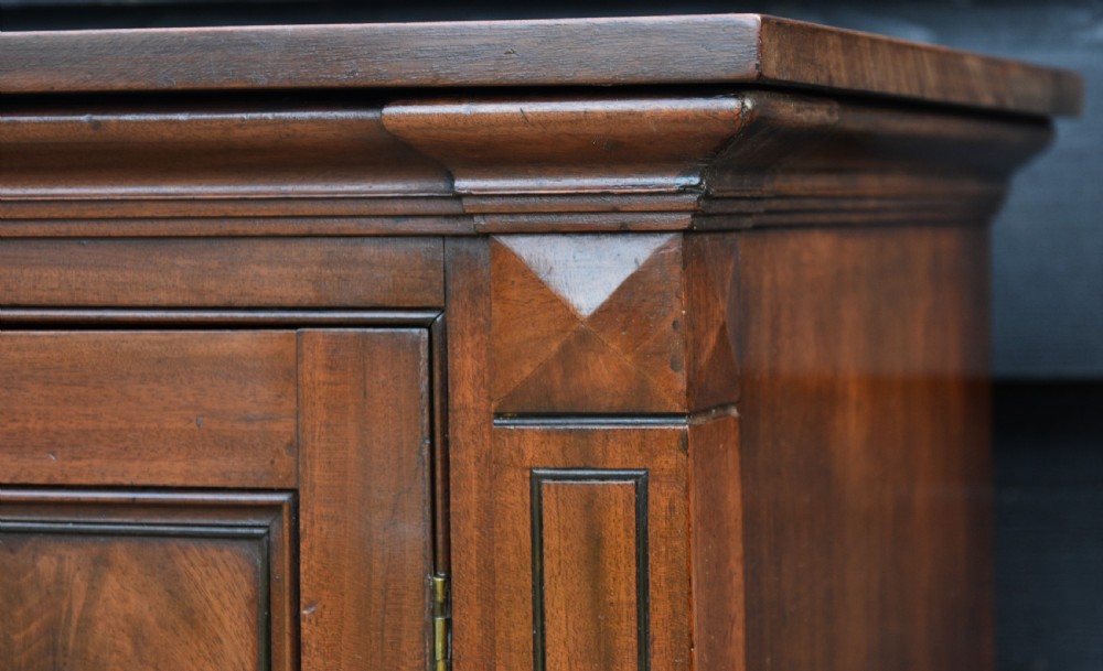 Superb William IV Mahogany Floor Standing Cupboard Of Small Proportions C.1830. View V