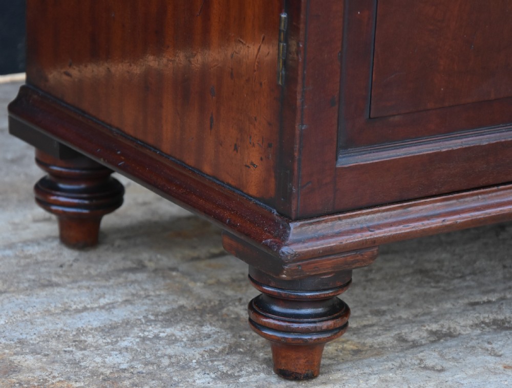 Georgian Mahogany Low Cupboard, Small Proportions, With Internal Drawers. View II