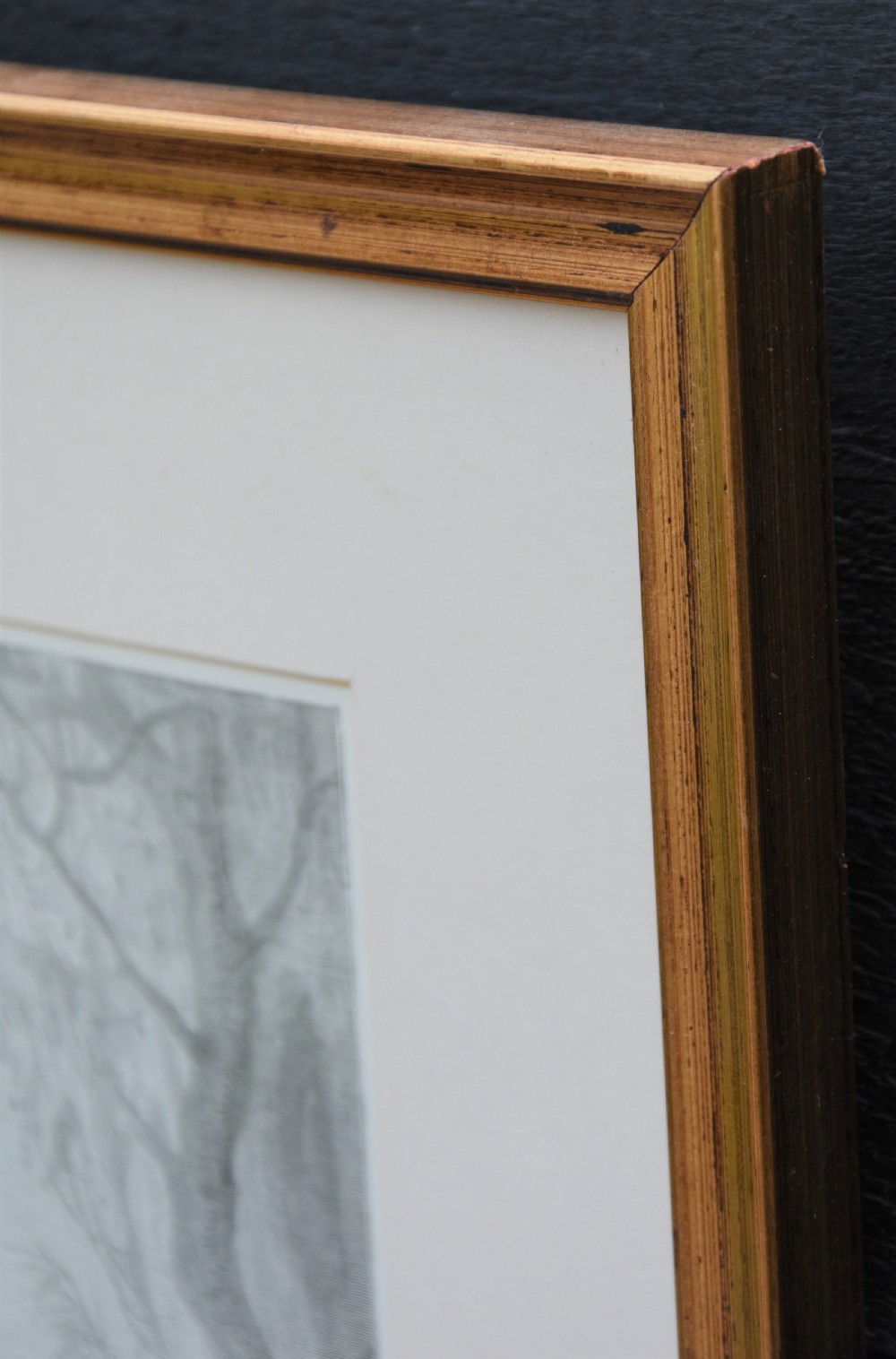 A framed 19th-century monochrome wood engraving depicting Adam and Eve in a dense forest setting, encased in a gilded wooden frame with a wide cream mount. View VI