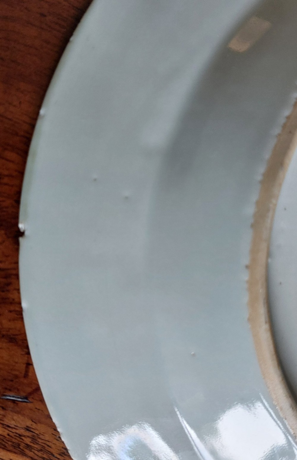 An 18th-century Chinese Qianlong period Famille Rose porcelain plate decorated with hand-painted polychrome floral motifs and rockwork. View V