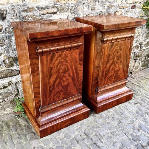 A PAIR OF GEORGE IV MAHOGANY PEDESTAL CUPBOARDS - ADDITIONAL PHOTO 1