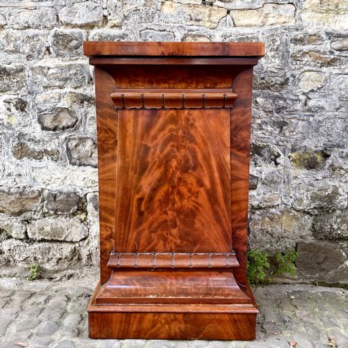 A PAIR OF GEORGE IV MAHOGANY PEDESTAL CUPBOARDS - ADDITIONAL PHOTO 2