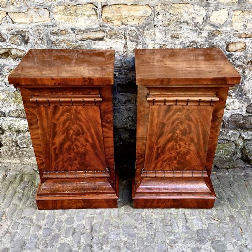 A PAIR OF GEORGE IV MAHOGANY PEDESTAL CUPBOARDS - ADDITIONAL PHOTO 4