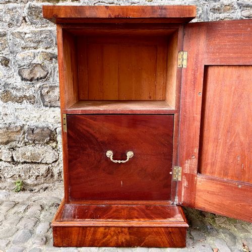 A PAIR OF GEORGE IV MAHOGANY PEDESTAL CUPBOARDS - ADDITIONAL PHOTO 6