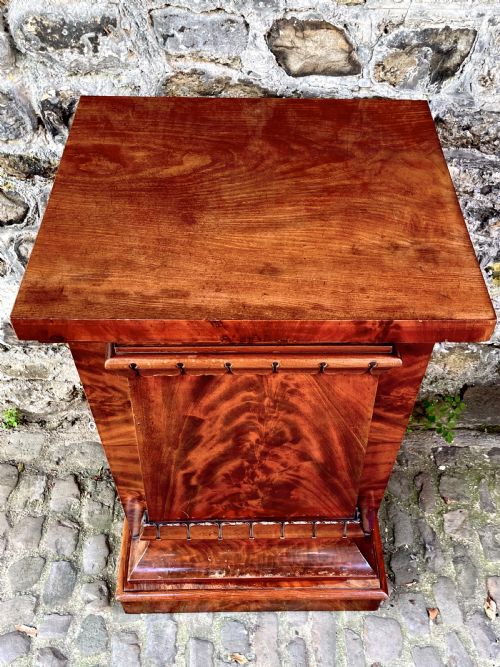 A PAIR OF GEORGE IV MAHOGANY PEDESTAL CUPBOARDS - ADDITIONAL PHOTO 9