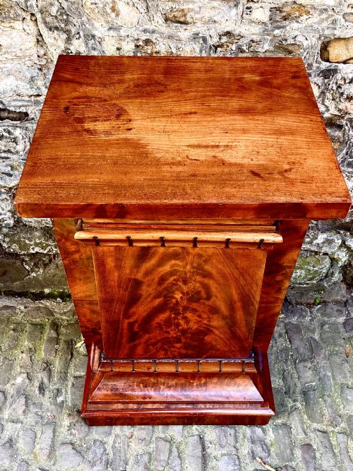 A PAIR OF GEORGE IV MAHOGANY PEDESTAL CUPBOARDS - ADDITIONAL PHOTO 10