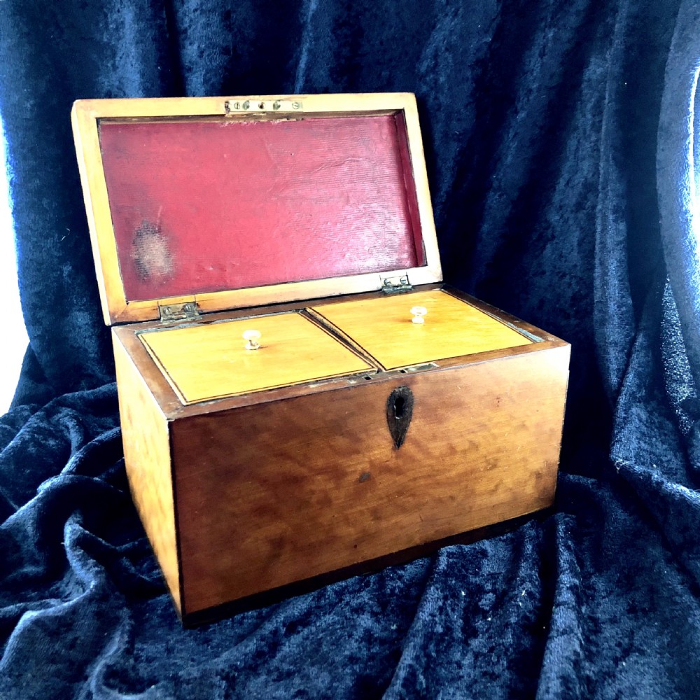 A George III satinwood tea caddy  View II