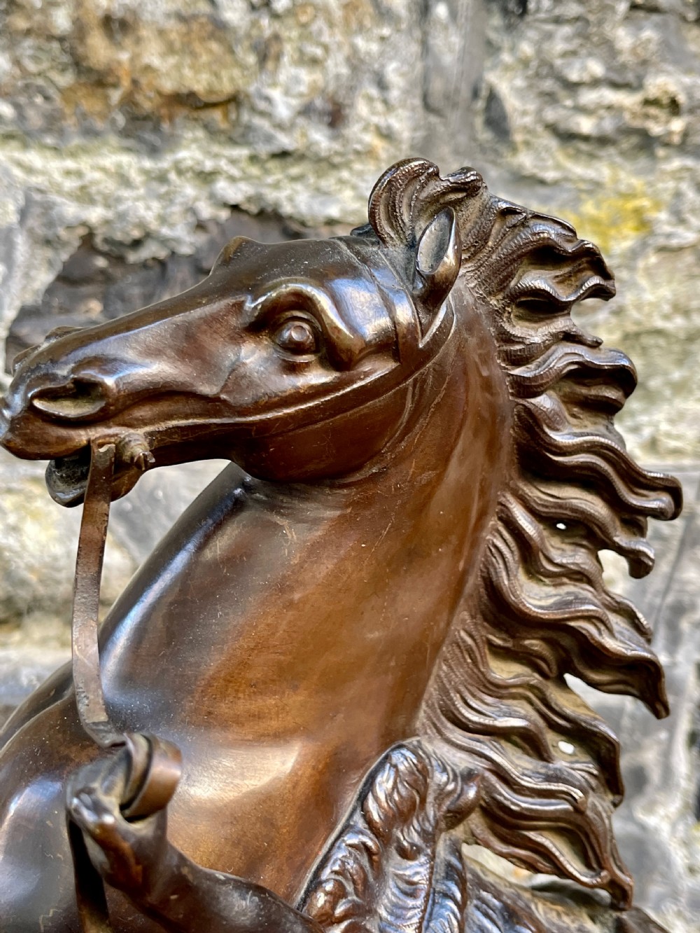 A late 19th century bronze Marly Horse View VII