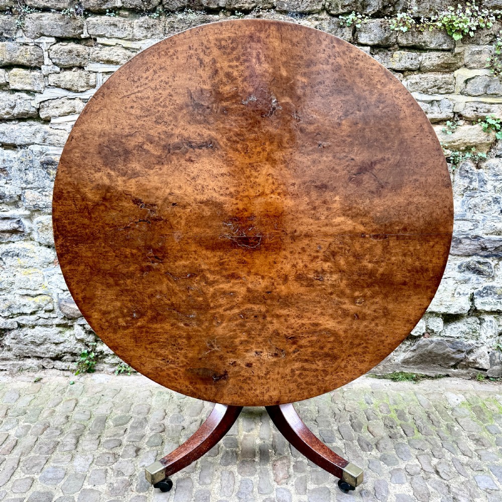 A circular George III burr yew wood pedestal centre table shown tilted vertically on downswept legs with brass castors.