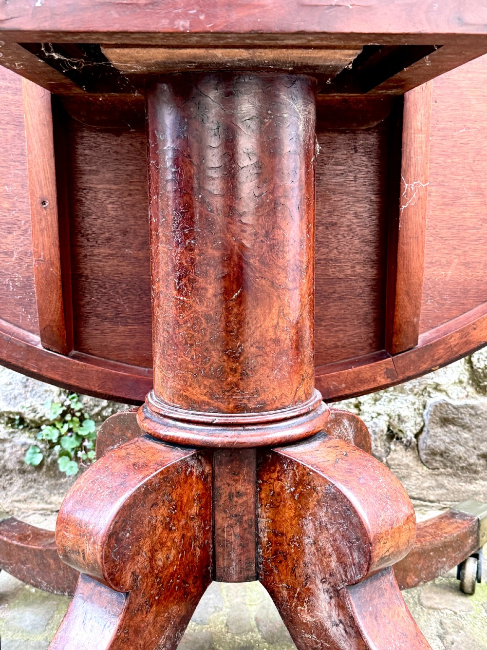 A circular George III burr yew wood pedestal centre table shown tilted vertically on downswept legs with brass castors. View V
