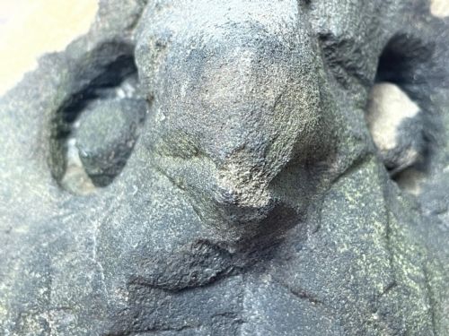 PAIR 18TH CENTURY CARVED PRIMITIVE STONE OWL HEAD CORBEL SCULPTURES - ADDITIONAL PHOTO 8