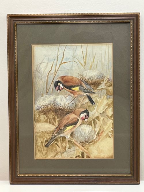WATERCOLOUR FINCHES BIRDS STUDY ATTRIBUTED TO FLORENCE BARLOW - ADDITIONAL PHOTO 2