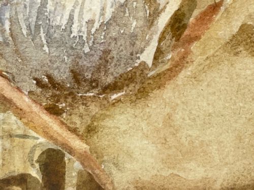 WATERCOLOUR FINCHES BIRDS STUDY ATTRIBUTED TO FLORENCE BARLOW - ADDITIONAL PHOTO 11