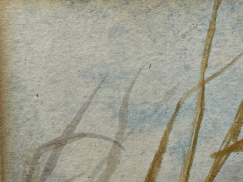 WATERCOLOUR FINCHES BIRDS STUDY ATTRIBUTED TO FLORENCE BARLOW - ADDITIONAL PHOTO 16