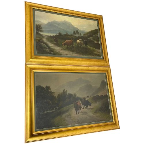 pair victorian oil paintings scottish highlands cattle by a macullough - CATEGORY: ANTIQUE ART - DATED VICTORIAN