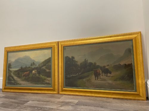 PAIR VICTORIAN OIL PAINTINGS SCOTTISH HIGHLANDS CATTLE BY A MACULLOUGH - ADDITIONAL PHOTO 1