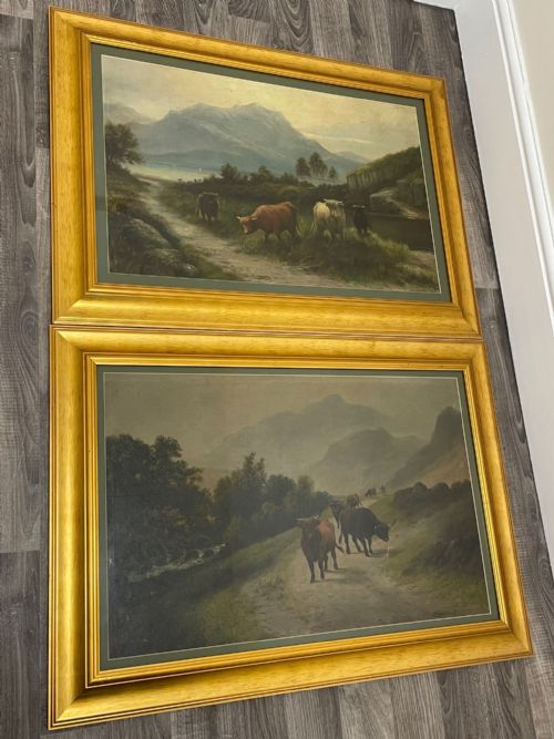PAIR VICTORIAN OIL PAINTINGS SCOTTISH HIGHLANDS CATTLE BY A MACULLOUGH - ADDITIONAL PHOTO 2