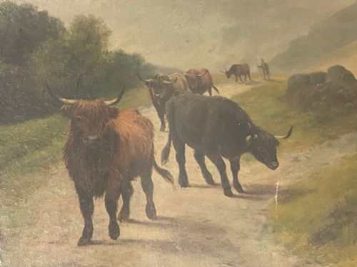 PAIR VICTORIAN OIL PAINTINGS SCOTTISH HIGHLANDS CATTLE BY A MACULLOUGH - ADDITIONAL PHOTO 4