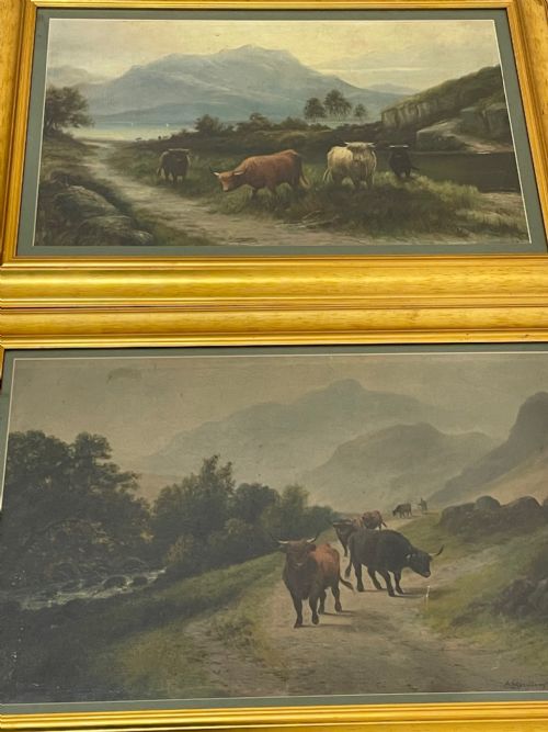 PAIR VICTORIAN OIL PAINTINGS SCOTTISH HIGHLANDS CATTLE BY A MACULLOUGH - ADDITIONAL PHOTO 6