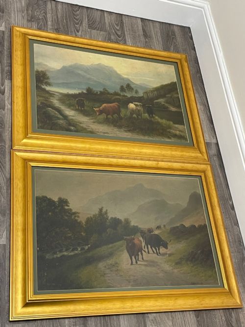 PAIR VICTORIAN OIL PAINTINGS SCOTTISH HIGHLANDS CATTLE BY A MACULLOUGH - ADDITIONAL PHOTO 7