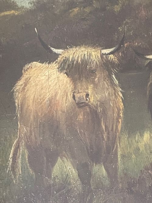 PAIR VICTORIAN OIL PAINTINGS SCOTTISH HIGHLANDS CATTLE BY A MACULLOUGH - ADDITIONAL PHOTO 21