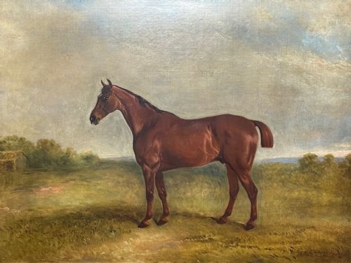 19TH CENTURY OIL PAINTING BAY HUNTER HORSE BY CLAUDE LORRAINE FERNELEY - ADDITIONAL PHOTO 5