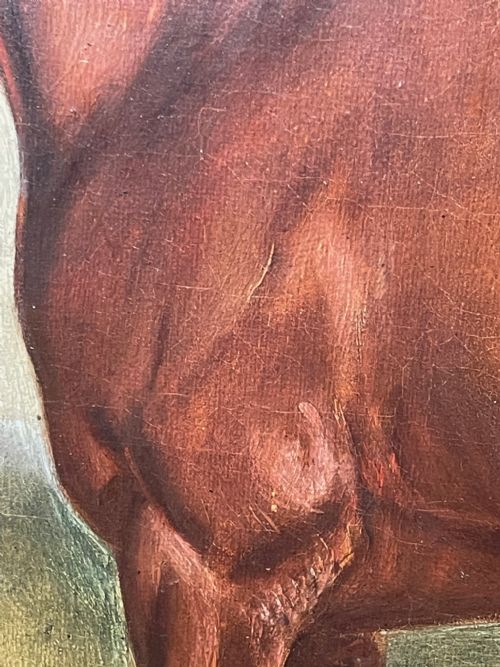 19TH CENTURY OIL PAINTING BAY HUNTER HORSE BY CLAUDE LORRAINE FERNELEY - ADDITIONAL PHOTO 15