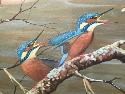 WATERCOLOUR KINGFISHERS MOTHER FEEDING YOUNG BIRDS BY RALSTON GUDGEON - ADDITIONAL PHOTO 6
