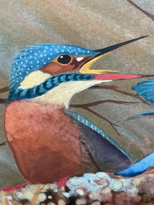 WATERCOLOUR KINGFISHERS MOTHER FEEDING YOUNG BIRDS BY RALSTON GUDGEON - ADDITIONAL PHOTO 11