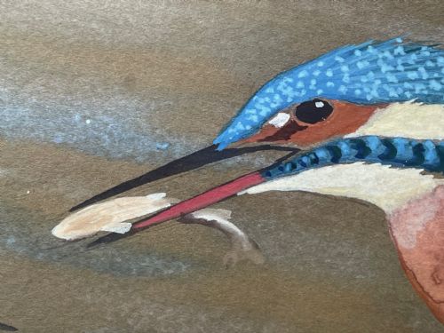 WATERCOLOUR KINGFISHERS MOTHER FEEDING YOUNG BIRDS BY RALSTON GUDGEON - ADDITIONAL PHOTO 13