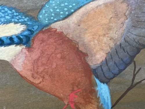 WATERCOLOUR KINGFISHERS MOTHER FEEDING YOUNG BIRDS BY RALSTON GUDGEON - ADDITIONAL PHOTO 14
