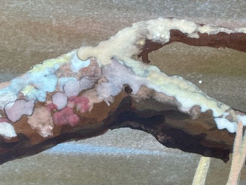 WATERCOLOUR KINGFISHERS MOTHER FEEDING YOUNG BIRDS BY RALSTON GUDGEON - ADDITIONAL PHOTO 16