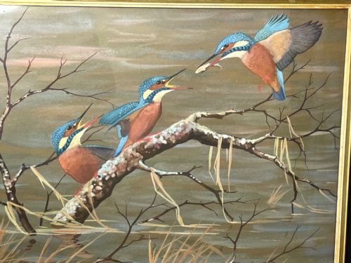WATERCOLOUR KINGFISHERS MOTHER FEEDING YOUNG BIRDS BY RALSTON GUDGEON - ADDITIONAL PHOTO 24