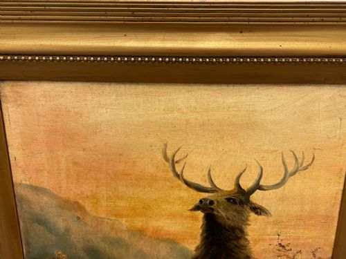 PAIR OIL PAINTINGS PORTRAIT MONARCHS OF GLEN DEER STAGS IN HIGHLANDS - ADDITIONAL PHOTO 11