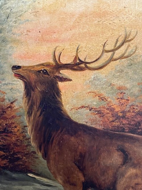 PAIR OIL PAINTINGS PORTRAIT MONARCHS OF GLEN DEER STAGS IN HIGHLANDS - ADDITIONAL PHOTO 16