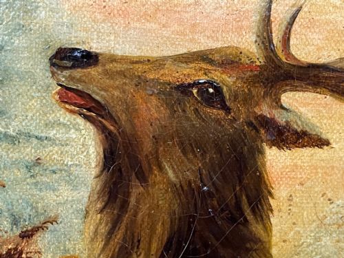 PAIR OIL PAINTINGS PORTRAIT MONARCHS OF GLEN DEER STAGS IN HIGHLANDS - ADDITIONAL PHOTO 24