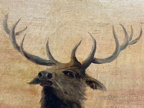 PAIR OIL PAINTINGS PORTRAIT MONARCHS OF GLEN DEER STAGS IN HIGHLANDS - ADDITIONAL PHOTO 26