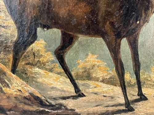 PAIR OIL PAINTINGS PORTRAIT MONARCHS OF GLEN DEER STAGS IN HIGHLANDS - ADDITIONAL PHOTO 27