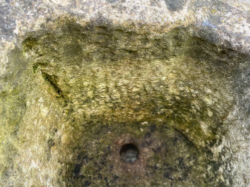 GEORGIAN CARVED STONE GARDEN TROUGH PLANTER - ADDITIONAL PHOTO 4