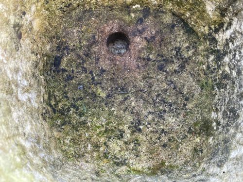 GEORGIAN CARVED STONE GARDEN TROUGH PLANTER - ADDITIONAL PHOTO 5