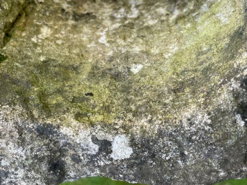 GEORGIAN CARVED STONE GARDEN TROUGH PLANTER - ADDITIONAL PHOTO 7