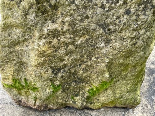 GEORGIAN CARVED STONE GARDEN TROUGH PLANTER - ADDITIONAL PHOTO 9