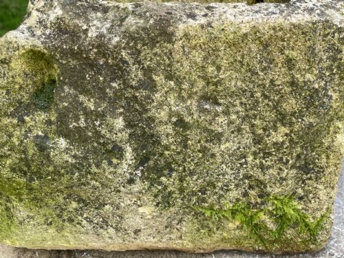 GEORGIAN CARVED STONE GARDEN TROUGH PLANTER - ADDITIONAL PHOTO 10